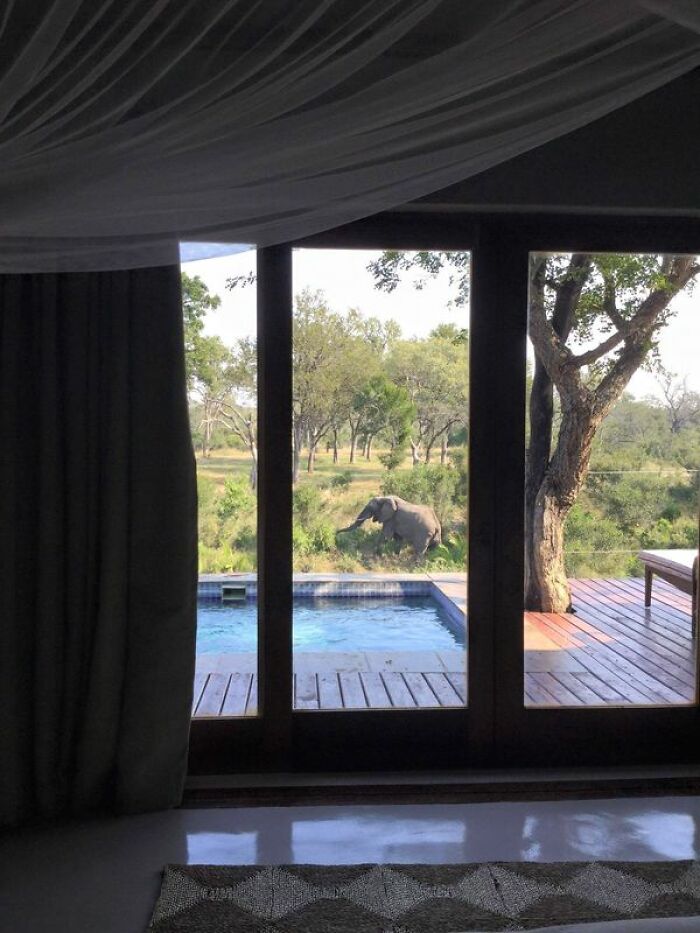 The View From My Parents Hotel Room In South Africa