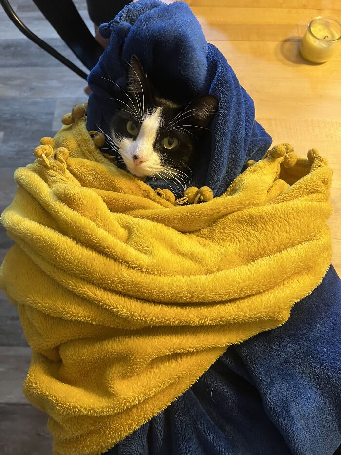 She Like Being A Purrito
