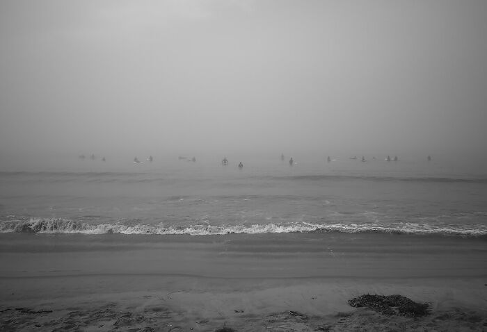 Kelp And Surfers By Paul Gibert