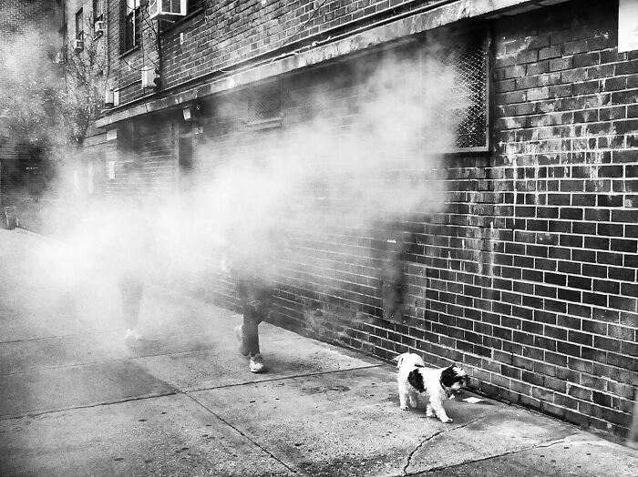 Ghost Walker By Max Marienko