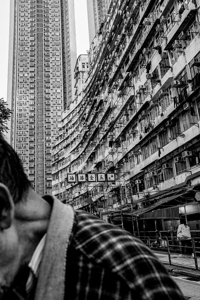 Despite By Pelin Guven