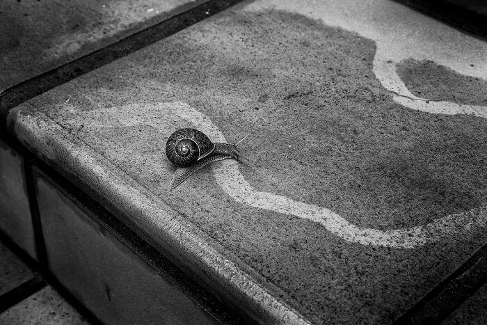 Doubling Back By Carl Young