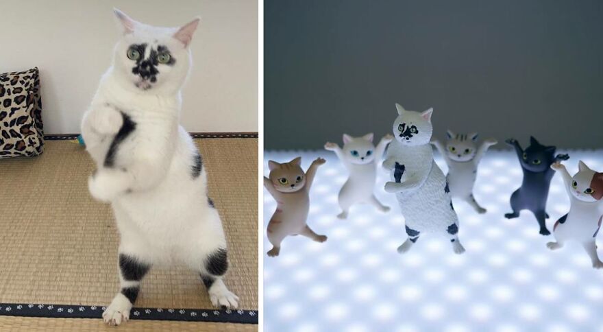 Artist Creatively Turns Animal Memes Into Figurines, And They All Look Hilarious Artist Creatively Turns Animal Memes Into Figurines, And They All Look Hilarious