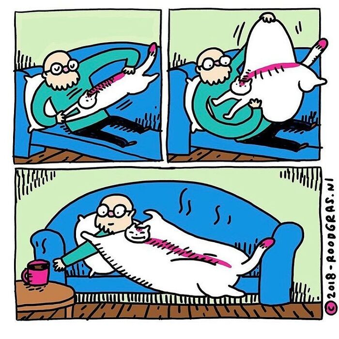 Artist Draws Cute Cat Comics And It Will Make Your Day (70 Pics)