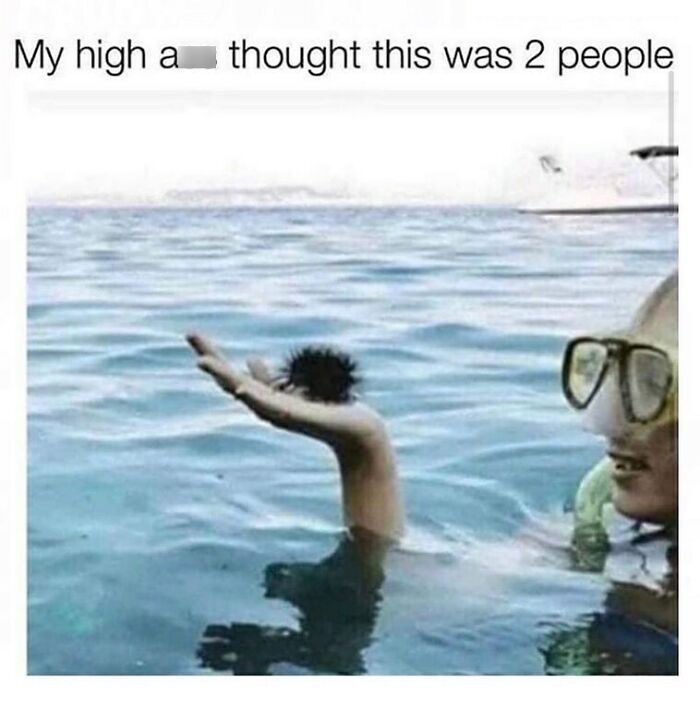 Things-That-Look-Alike