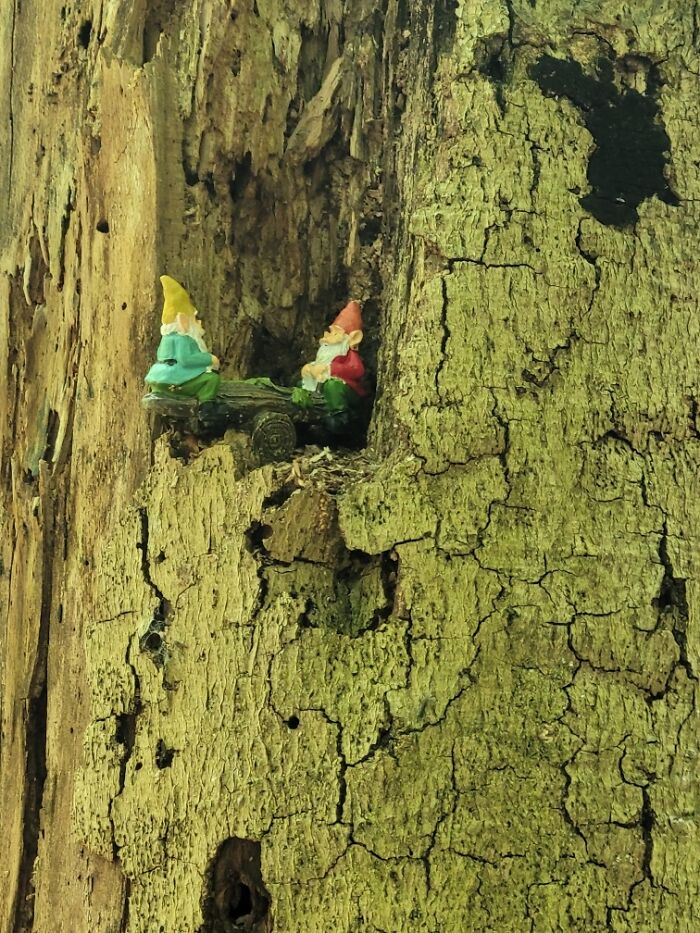 Found This On A Hike