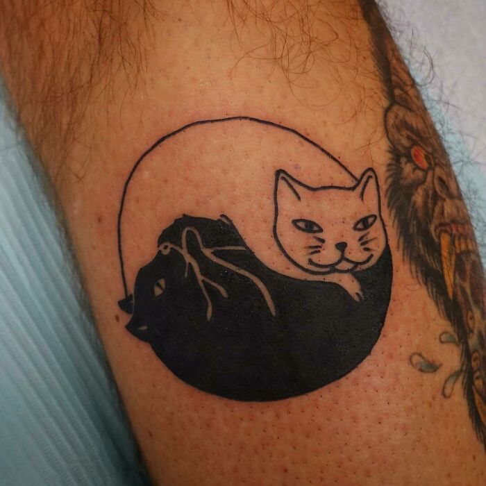 Yin Yang tattoo featuring black and white cats, symbolizing duality, inked on a person's arm.