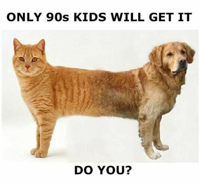 Funny-Nostalgia-Memes