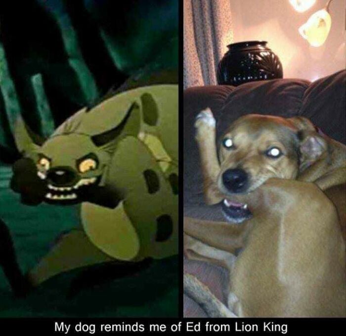 Funny-Nostalgia-Memes