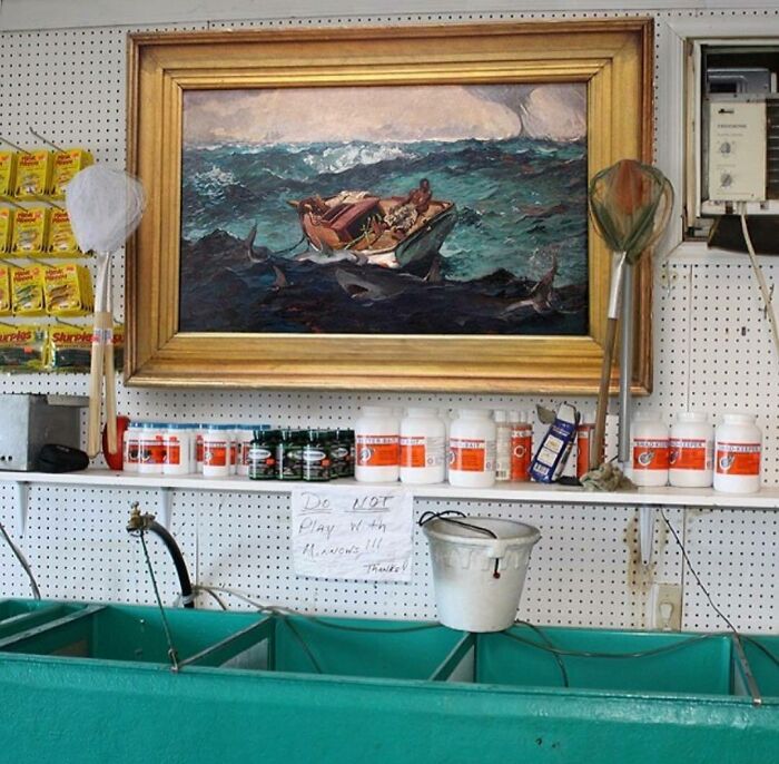 Great-Art-In-Ugly-Rooms