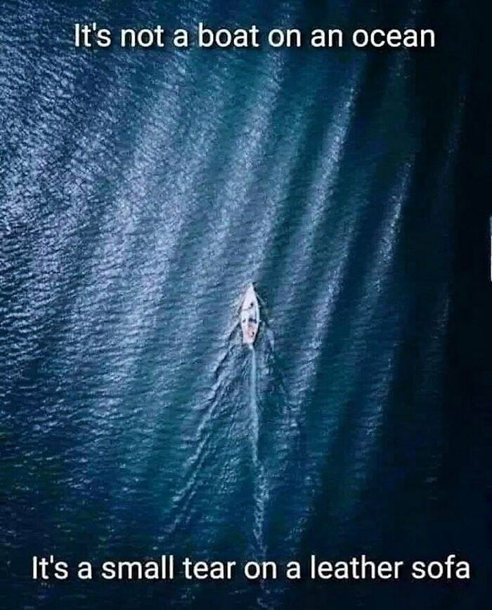 Things-That-Look-Alike