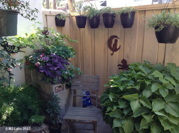 Left-Hand Side Of My Concrete Jungle