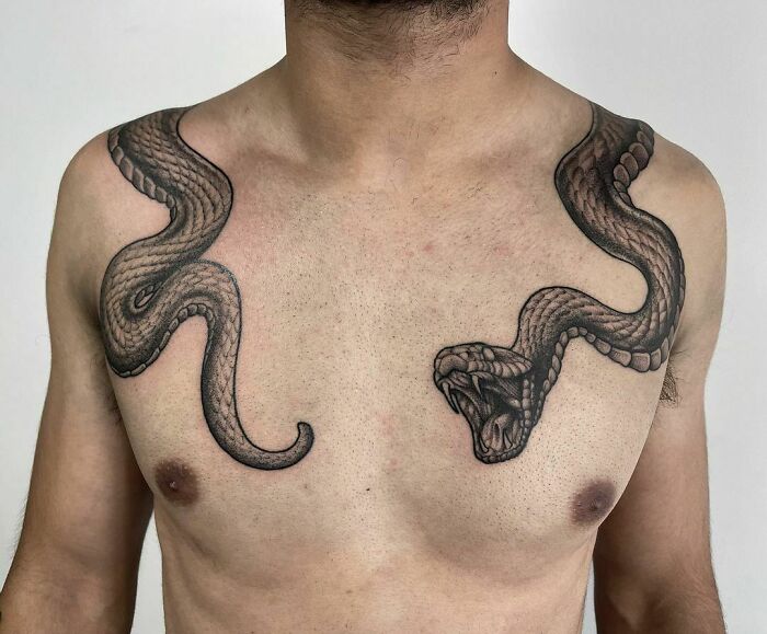 Snake tattoo design on a man’s chest, featuring a detailed serpent wrapping across the shoulders.
