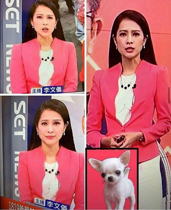 Things-That-Look-Alike