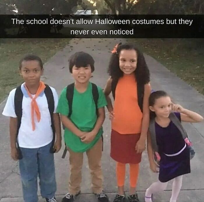 Things-That-Look-Alike