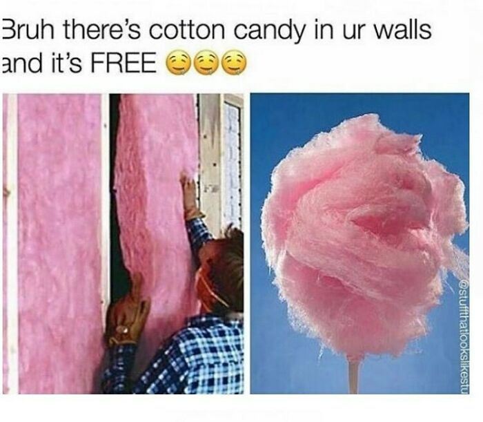 Things-That-Look-Alike