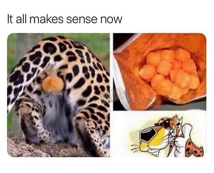 Things-That-Look-Alike