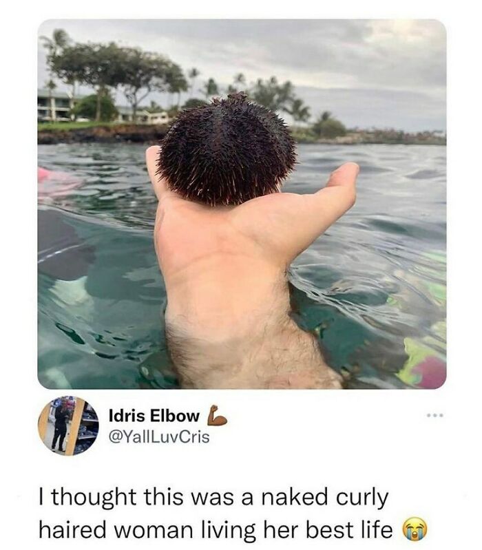 Things-That-Look-Alike