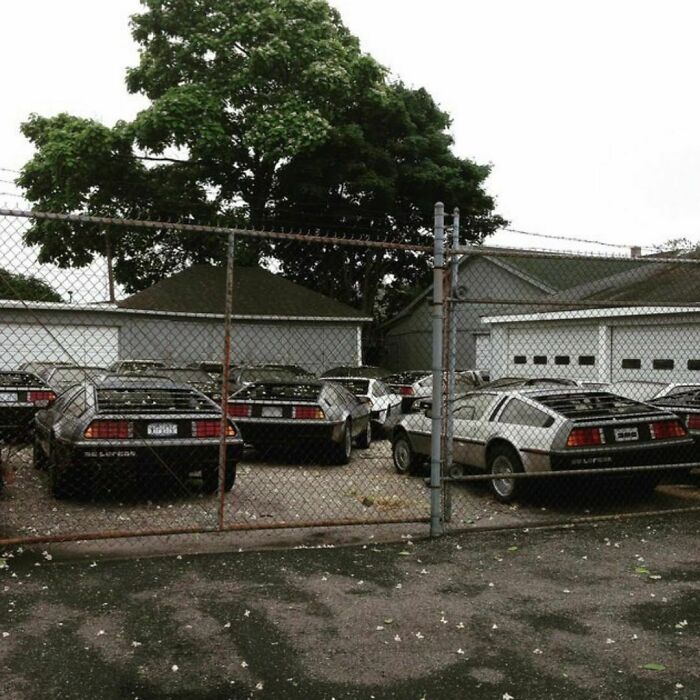 Liberad los Delorean