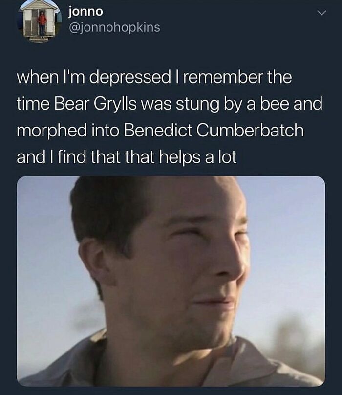 Things-That-Look-Alike