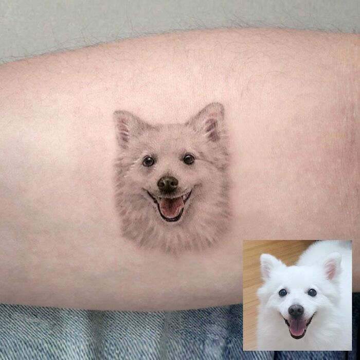 Dog portrait tattoo on arm, memorial ink to honor family pet.