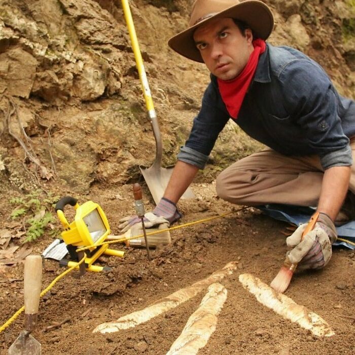 Finding-Baguettes-In-Unusual-Places