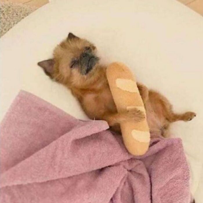 Finding-Baguettes-In-Unusual-Places