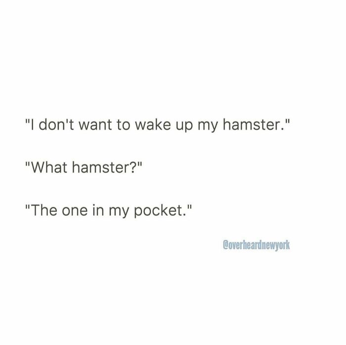 Hilarious-New-York-Overheard-Conversations