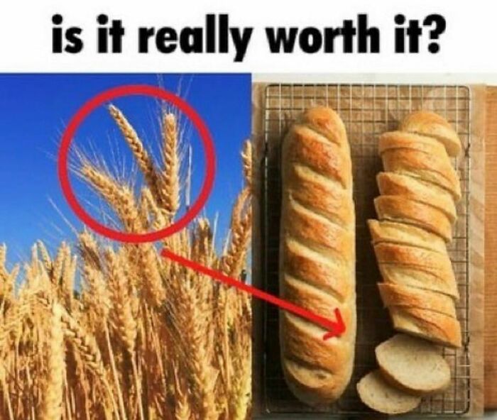 Finding-Baguettes-In-Unusual-Places