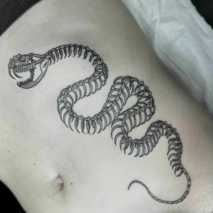 Snake tattoo design featuring an intricate skeletal motif on skin.