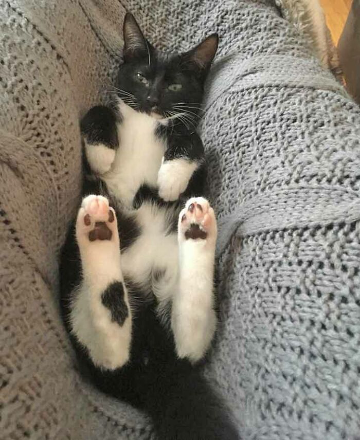 She Fell Between My Legs, Trapping Me For Hours