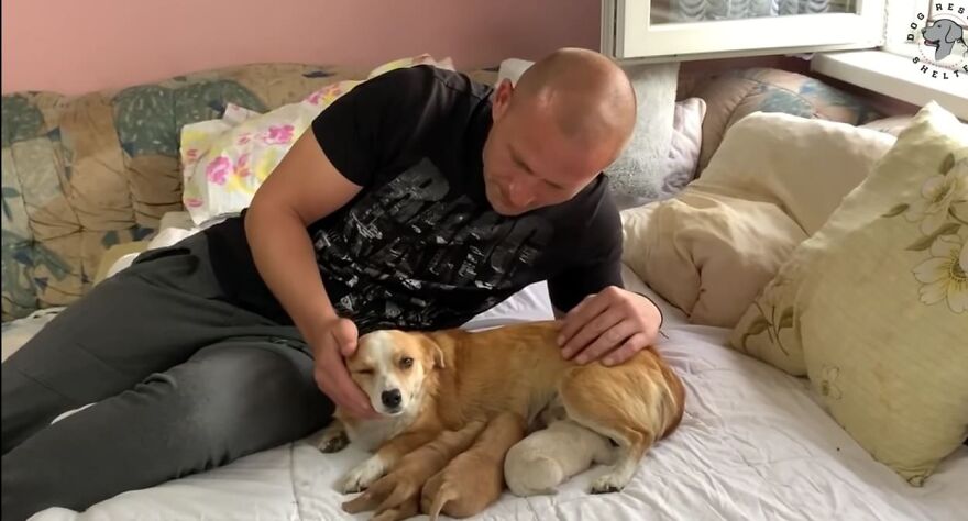 Dog Mom Abandoned With Puppies Still Waited For Her Owner Days After Being Left Dog Mom Abandoned With Puppies Still Waited For Her Owner Days After Being Left