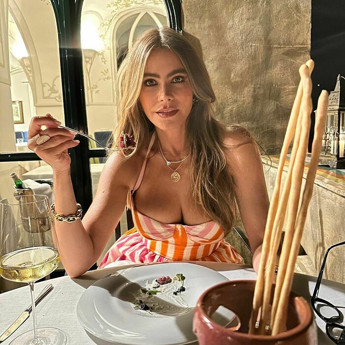 Sof&iacute;a Vergara Breaks Up With Husband, Fans Suspect Something Was Up