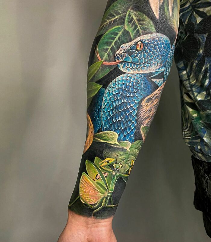 Colorful snake tattoo on arm, featuring leaves and a vibrant blue snake wrapped around.