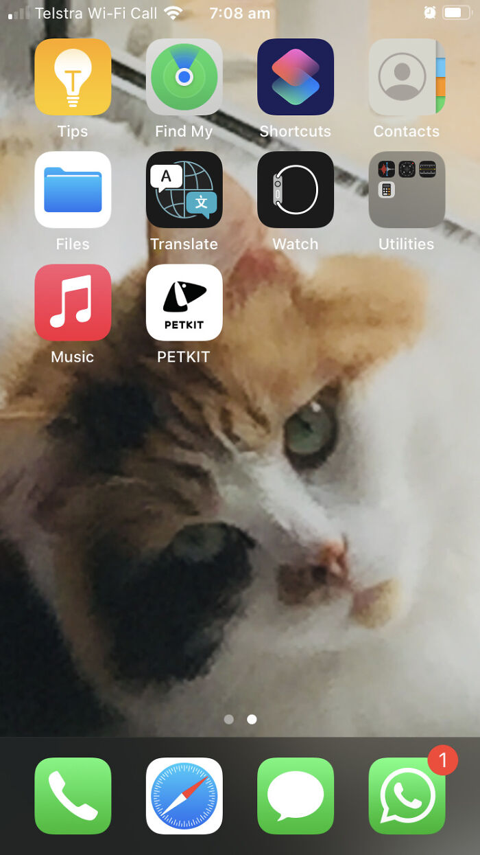 It's My Cat And A Symbol That Curiosity Does Not, In Fact, Kill The Cat