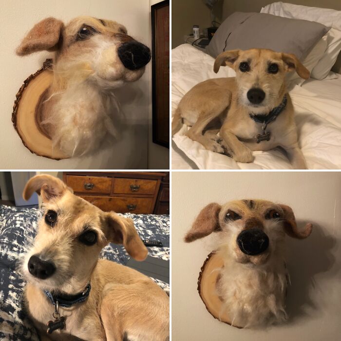 A Pet Portrait From Birchwood Fine Art