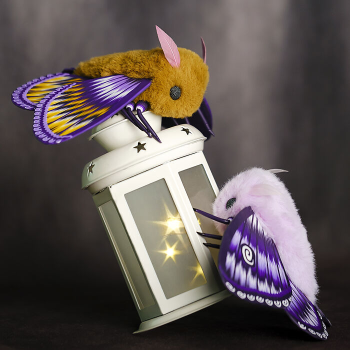 I Was Terrified Of Moths Before Making These Cute Dolls, But My Phobia Turned To Love