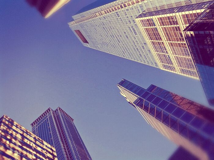 Looking Up. Philadelphia Pa