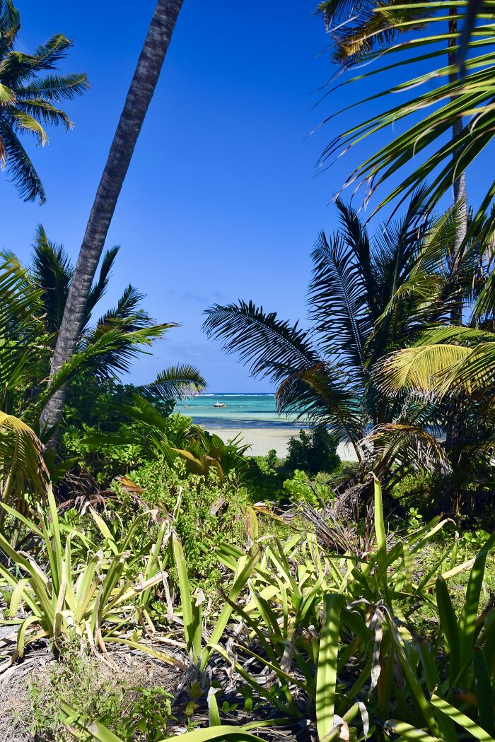 Pristine Waters North Of San Pedro Town, On Ambergris Caye, Belize