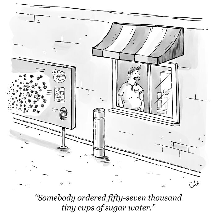 I've Been Making Single Panel Cartoons For Over A Decade. Here Are 40 Of The Best!