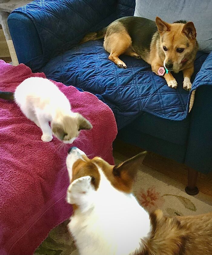 “Are You Sure You Belong Here?!?”