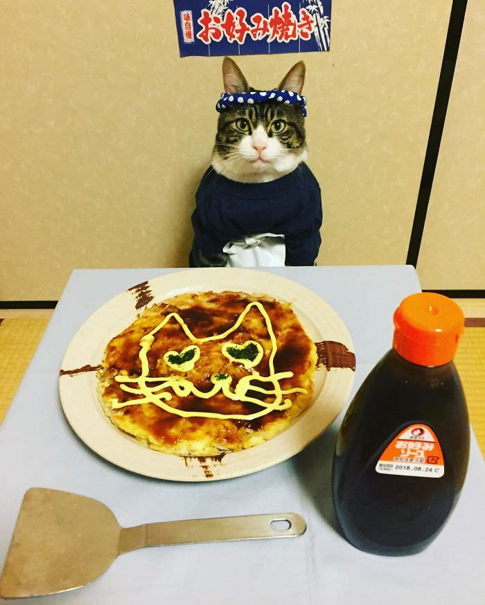 Cosplaying Cat Chef Dines With His Mom Every Night In Different Outfit (30 Pics)