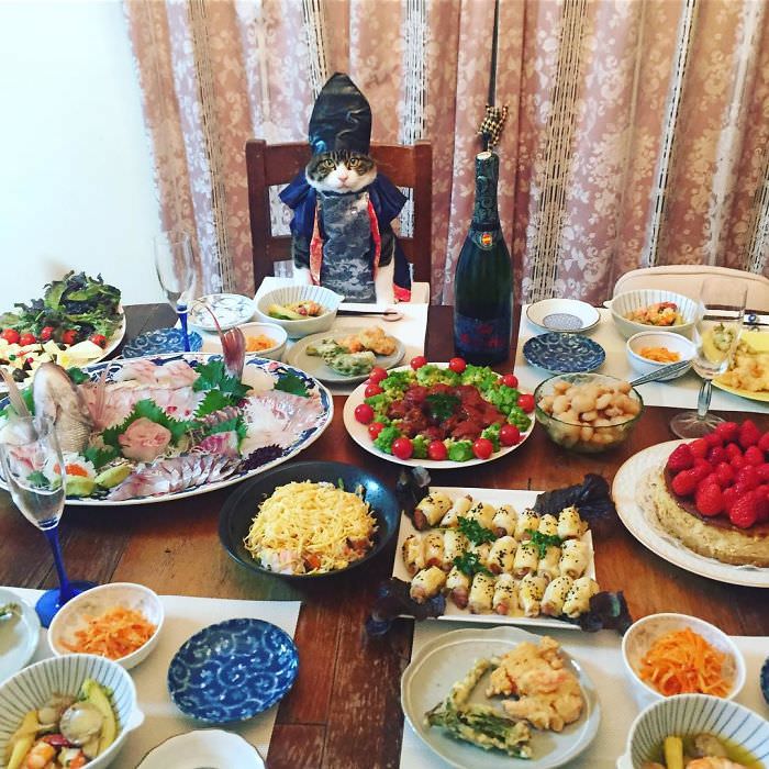 Cosplaying Cat Chef Dines With His Mom Every Night In Different Outfit (30 Pics)