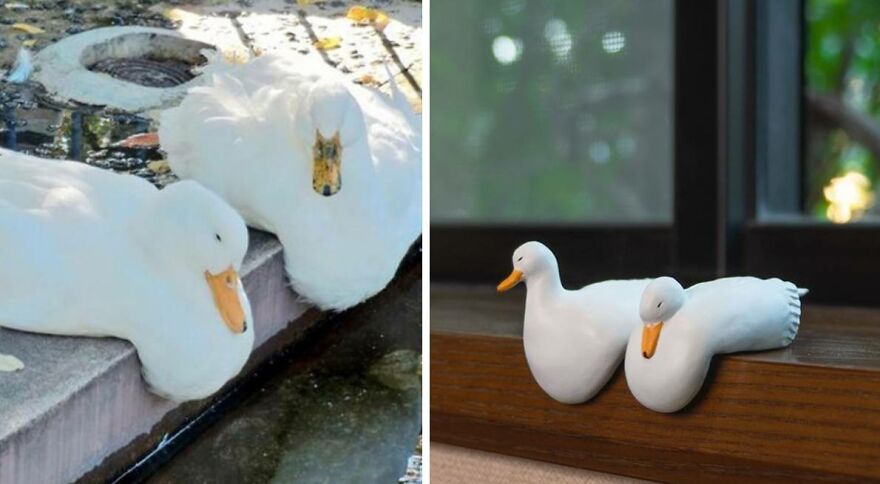 Artist Creatively Turns Animal Memes Into Figurines, And They All Look Hilarious Artist Creatively Turns Animal Memes Into Figurines, And They All Look Hilarious