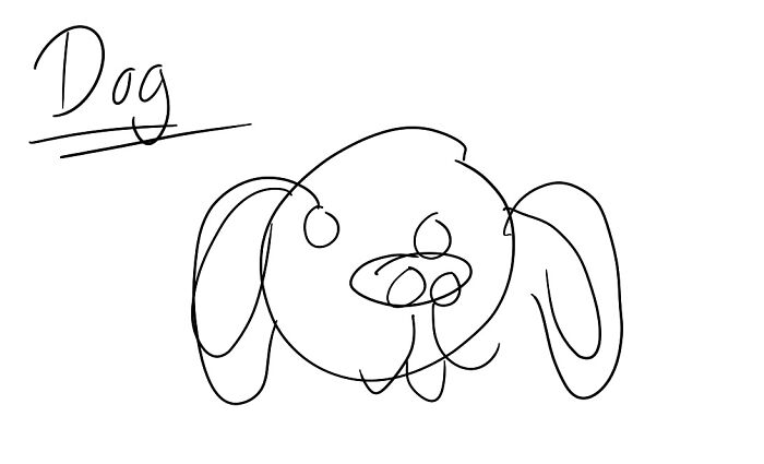 This Is My Dog, Not Sure What Kind!