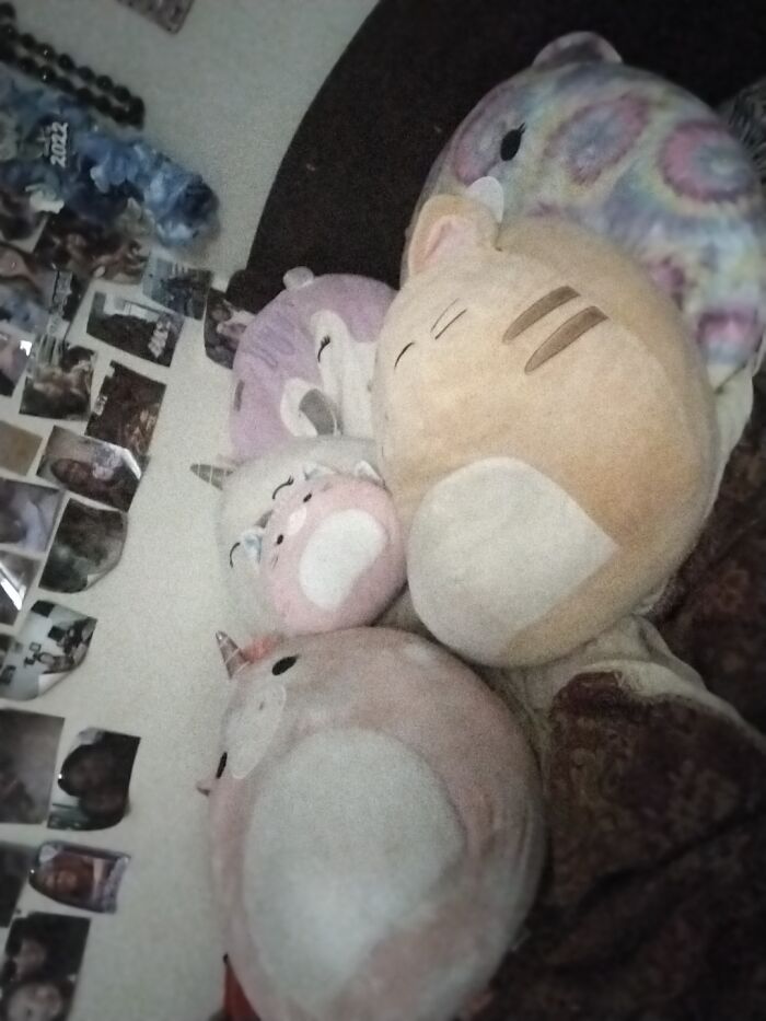 I Have Two Cats, A Squirrel, A Bear, (The Big One) And Two Unicorns. I Have More But They're In My Chair, A Jaguar And A Hello Kitty One