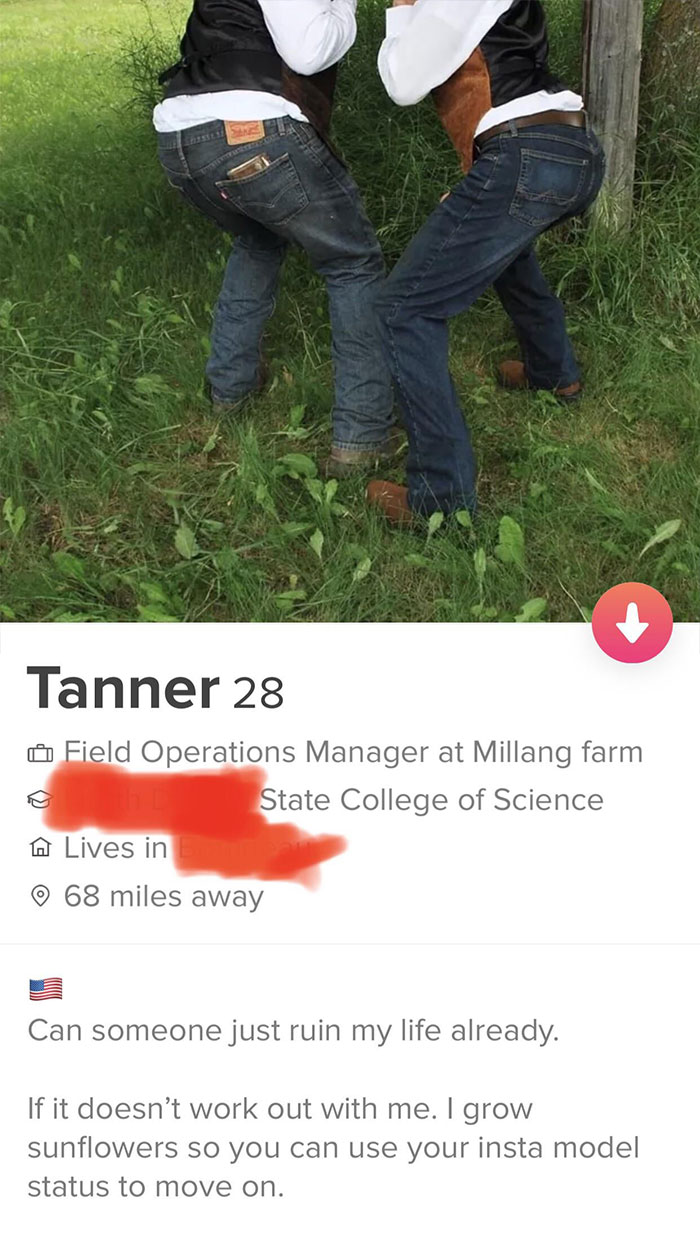 Perfect Profile For Something Not Serious