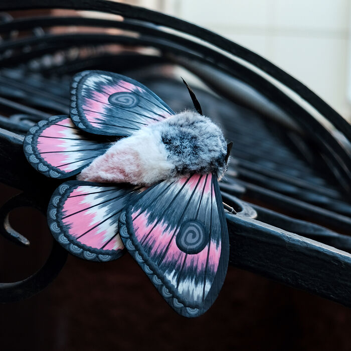 I Was Terrified Of Moths Before Making These Cute Dolls, But My Phobia Turned To Love