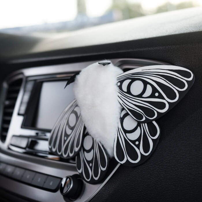 I Was Terrified Of Moths Before Making These Cute Dolls, But My Phobia Turned To Love