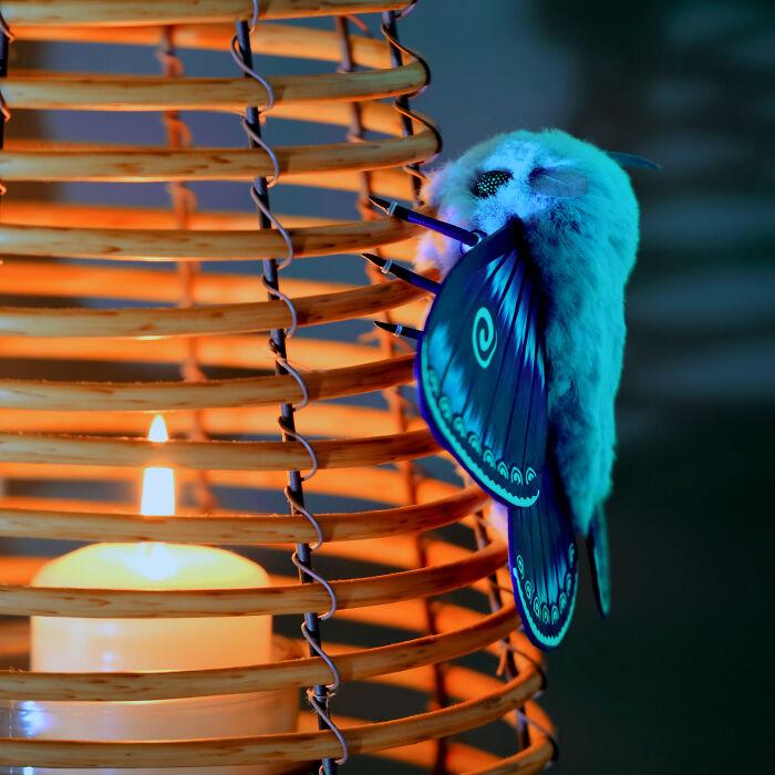 I Was Terrified Of Moths Before Making These Cute Dolls, But My Phobia Turned To Love